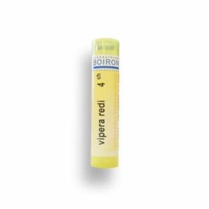 Vipera Redi tube 4ch