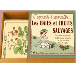Baies Et Fruits Sauvages