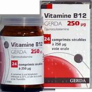 Vit B12 Gerda 250g Cpr E/24