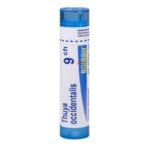 Thuya Occidentalis 4gr 9ch