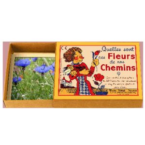 Quelles sont ces Fleurs De Nos Chemins ?