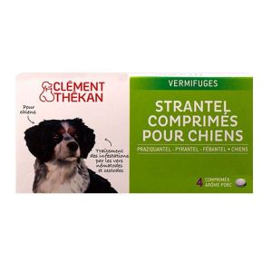 Clement Strantel Chien 4cprs