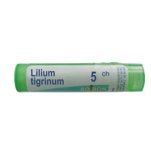 Lilium Tigrinum Tube 5ch