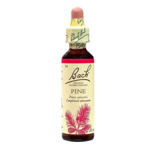 Fleur de Bach Original Pine 20ml
