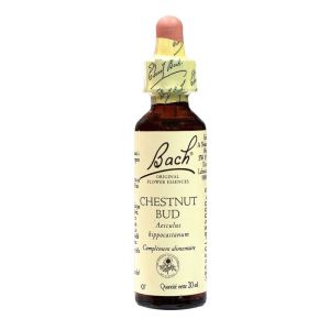 Fl Bach Original Chesnut Bud 2