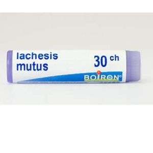 Laches mutus Dose 30ch