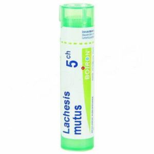 Lachesis mutus  Tube 5ch