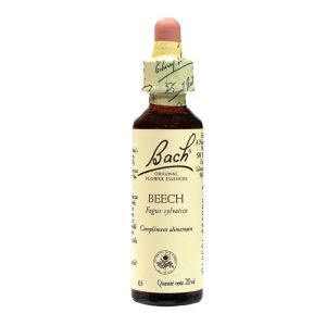 Fl Bach Original Beech 20ml