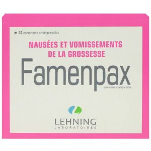 Famenpax 40 Comprimés Lehning