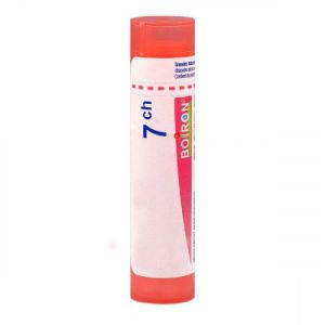 Conium Maculatum Tube 7ch