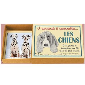 J'apprends à Reconnaître les Chiens