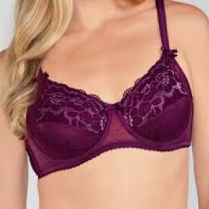 Karla Sans Armatures Cassis 95C