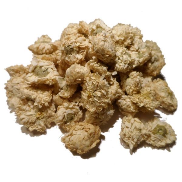 Camomille Romaine - Anthemis nobilis - capitules floraux 20g