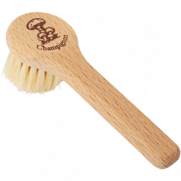 Brosse à Champignon Avec Manche