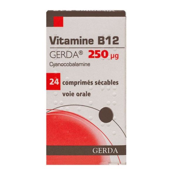 Vit B12 Gerda 250g Cpr E/24