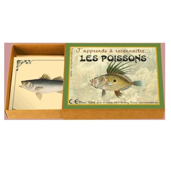 J'apprends à reconnaître les poissons