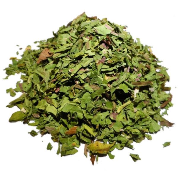 Pissenlit - Taraxacum officinale - Feuilles 30g