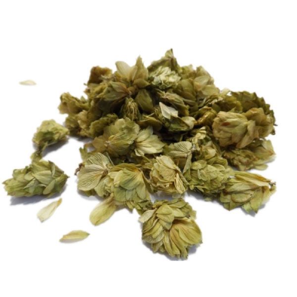 Houblon - Humulus lupulus - Cône 30g