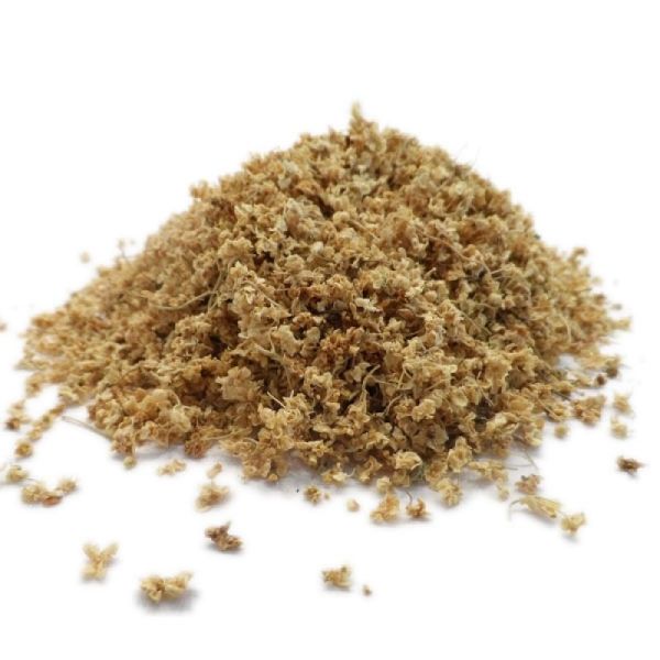 Sureau noir - Sambucus nigra - Fleurs 30g