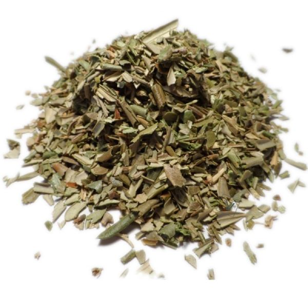 Olivier - Olea europaea - Feuilles 40g