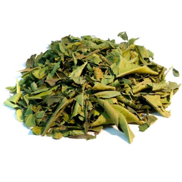 Oranger - Citrus aurantium - Feuilles 25g